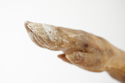 Matéria e Forma de Nelson Leirner